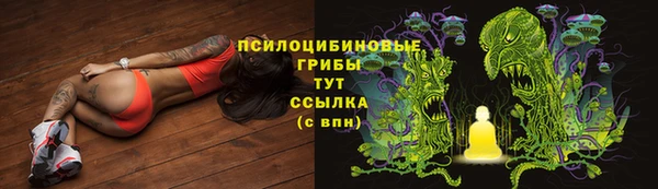 метадон Аркадак