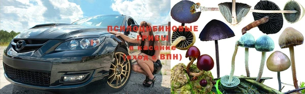 а пвп мука Балахна